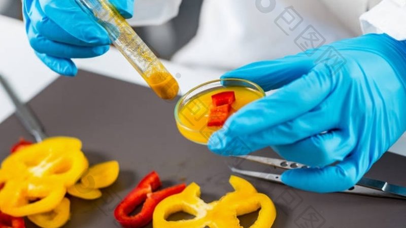 餐饮加盟开店费用揭秘：如何合理预算与规避风险